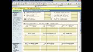 ProSeries QuickEntry Sheets