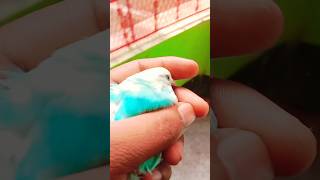 Download lagu classic baazigar pakhi#youtubeshorts #shortsvideo #shorts #short #viral #baazigar pakhi mp3