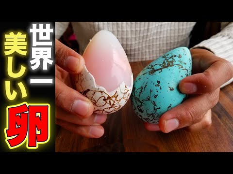 【衝撃】青い卵とパフィン肉 inアイスランド