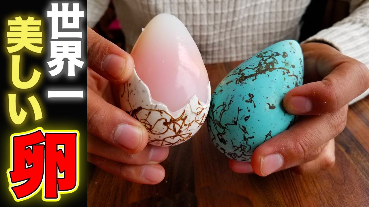 【衝撃】青い卵とパフィン肉 inアイスランド