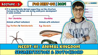 Lec 5- Segmentation & Notochord| Animal Kingdom| Class 11| NEET 2024