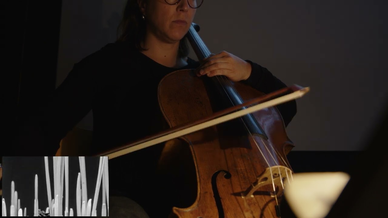 Letícia Ramos: Filmes acompanhados por concerto ao vivo