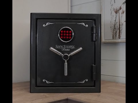 Costco- Platinum Reserve Safe Programming (SA-PLAT-2-D)