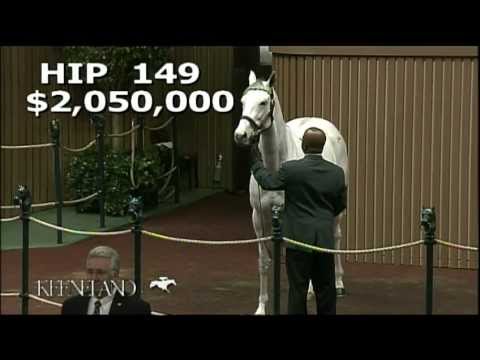 2012 November Breeding Stock Sale - Hip 149, Zazu