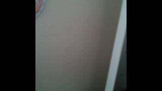 Miranda as precedent? | Singing