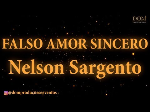 Falso Amor Sincero - Nelson Sargento