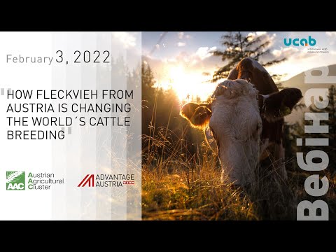 , title : 'Webinar. How Fleckvieh from Austria is changing the world´s cattle breeding (German)'