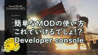 Mount&BladeⅡ、簡単便利なMODの使い方!!これでOK!!Developer Console(開発者ｺﾝｿｰﾙ)、ﾏｳﾝﾄ&ﾌﾞﾚｲﾄﾞⅡ