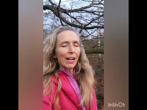 tri-dent VitalitätsOase Falkensee - Trainergruß von Solaya