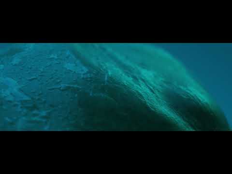 Bendik Giske - Flutter