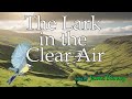 The Lark in the Clear Air sung by James Bierney