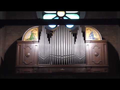 SPECIALE NATALE 2021 - Brani natalizi eseguiti all'organo v.594