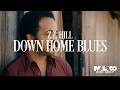 Z.Z.  Hills - Down Home Blues (Music Video)