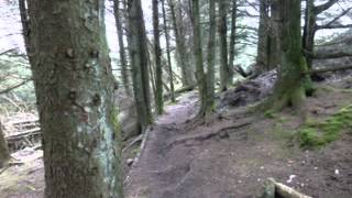 Dales Way Ass. Cam Woodlands-show0.flv