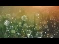 Har Kadam Per Koi Katil Hai Kahan Jaaye Koi DJ Remix Song Jhankar