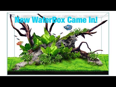 New Freshwater Aquarium Waterbox Aqua Clear 16