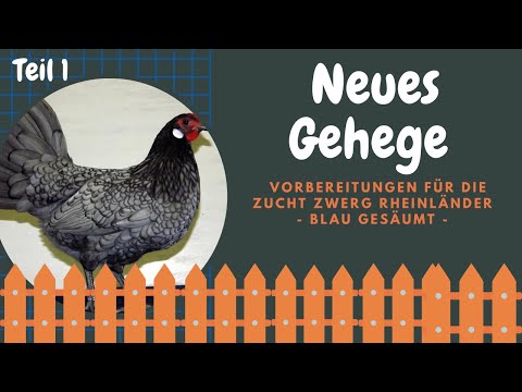 #07 Freilaufgehege für die Zwerg Rheinländer