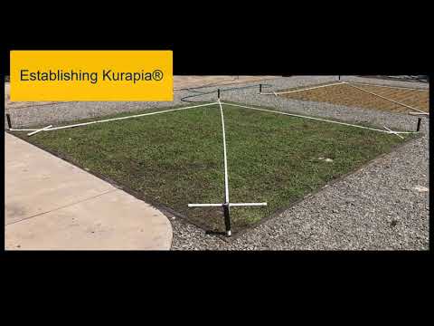 Kurapia® at SmartLandscape
