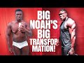 BIG NOAH'S BIG TRANSFORMATION!