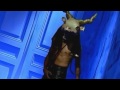 Cappella - U Got 2 Let The Music (Extended ...
