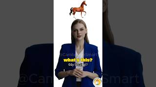Pre A1 Starters English speaking practice- Test 3 #cambridgesmart