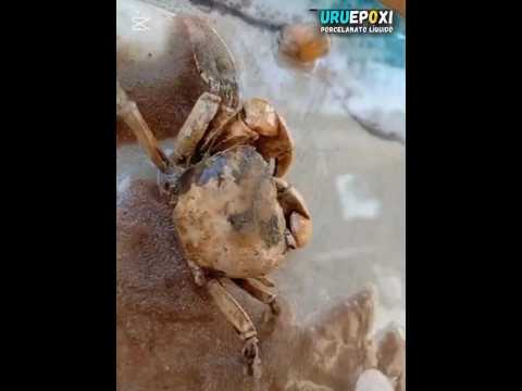 🌊 Mar de Recuerdos – Arte 3D Epoxi inspirado en Parque del Plata 🖼️ #epoxi #3d #decoration