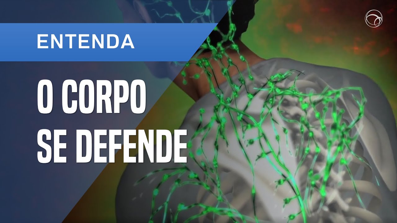 COMO O SISTEMA IMUNOLÓGICO PROTEGE O CORPO HUMANO CONTRA DOENÇAS INFECCIOSAS