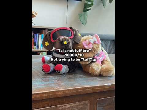 Things said to me as an essa handler! #essa #essacommunity #emotionsupportstuffedanimal #song