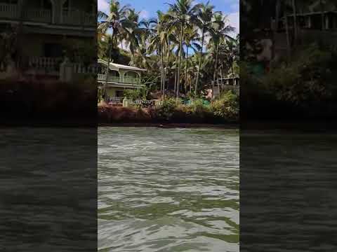 #candolin beach #dolphin view #boat #ride