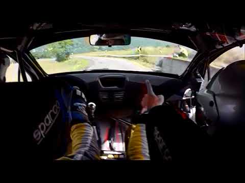 25°RALLY INT. DEL TARO - DE STEFANI-PISATI - 207 S2000 - PS8 FOLTA