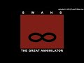 Swans-Warm