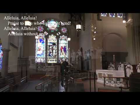 Hymn 381 Thy strong word did cleave the darkness