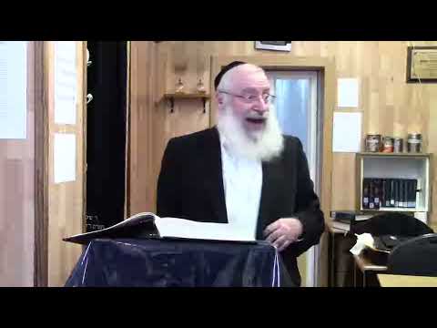Mitzvas Bedikas Chametz | Shiur by Rav Asher Weiss Shlit"a (5779)