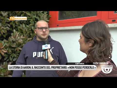 TG BASSANO (24/04/2019) - LA STORIA DI AARON, PARLA IL PROPRIETARIO:«NON POSSO PERDERLO»