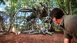 The Cursed Jungle | Full Movie | Sci-Fi