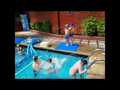 download lagu mp3 mp4 Cursos De Natacion Para Adultos Quito, download lagu Cursos De Natacion Para Adultos Quito gratis, unduh video klip Cursos De Natacion Para Adultos Quito