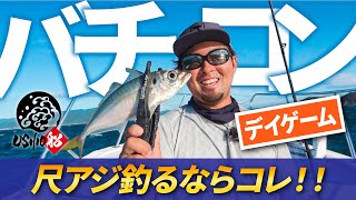 【バチコンアジング】大阪湾デイゲームで尺アジ連発｜USHIO 船 中島成典・村上祥悟