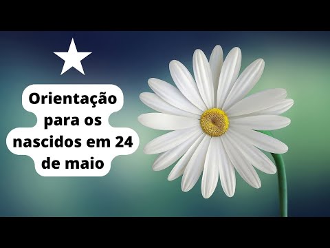 AS CARACTERÍSTICAS DOS NASCIDOS NO DIA 24 DE MAIO 