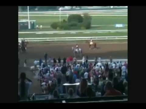 2012 Haskell Invitational home movie @ Monmouth Park New Jersey