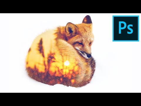 Photoshop for Beginners FREE COURSE