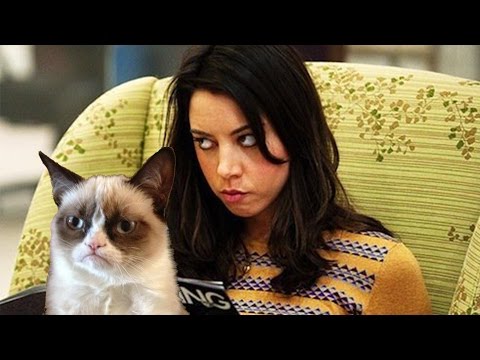 Video Simulation -Aubrey Plaza As Grumpy Cat in New Movie