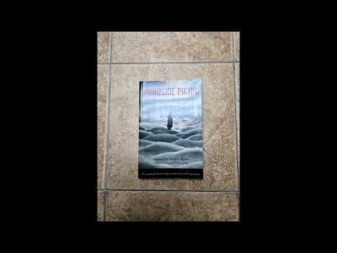 Roadside Picnic Review And Summary(spoiler free & spoilers)