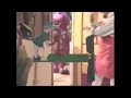 Barney IIS Professor Tinkerputt S Song