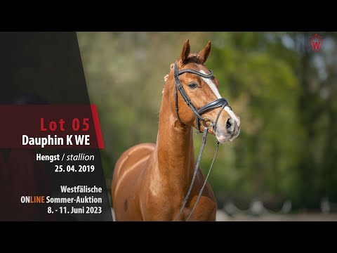 Sommer-Auktion Lot 05 Dauphin K WE Hengst v. Dallmayr K - Olivier K WE