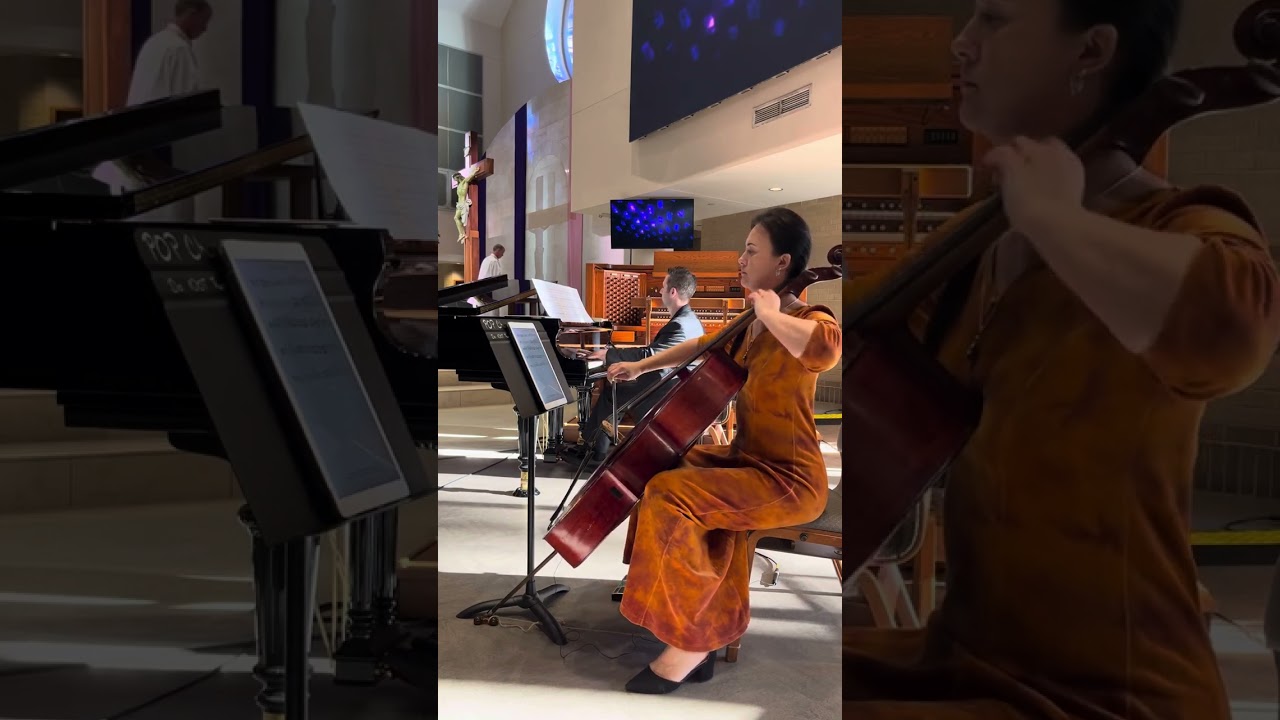 Promotional video thumbnail 8 for Cello, electro cello
