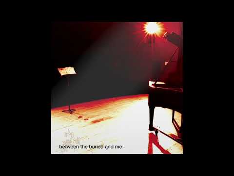 Naked by the Computer - Between the Buried and Me