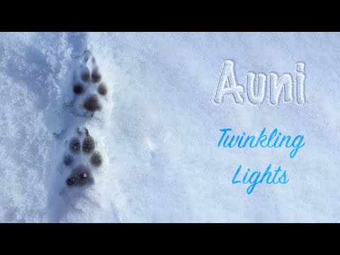 Auni - "Twinkling Lights" (Official)
