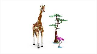 LEGO Creator - Divoká zvířata ze safari