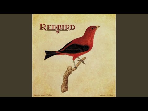 The Whole World Round - Redbird