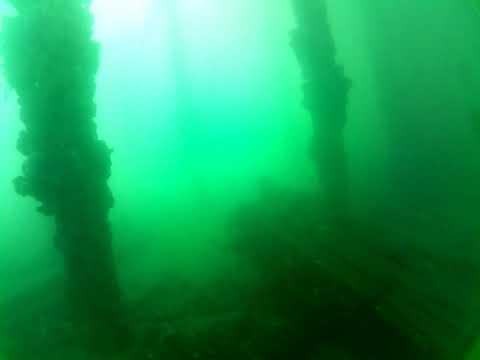 Edithburgh Live by AusOcean 21/02/2023